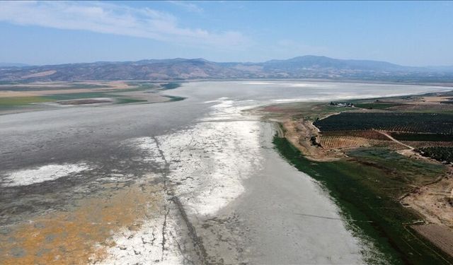 400 kuş türü alarm veriyor, Marmara Gölü için son şans