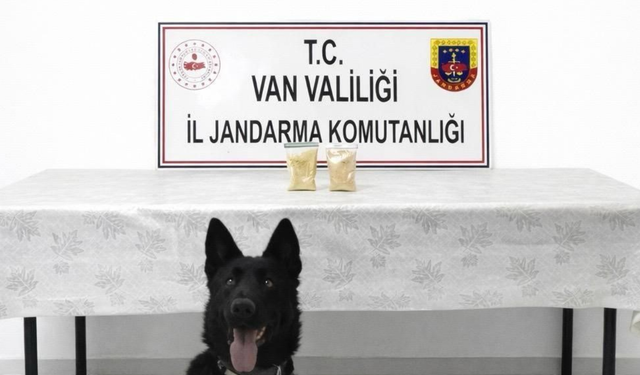 Van'da İranlı şahıs üzerinden yarım kilo uyuşturucu çıktı!