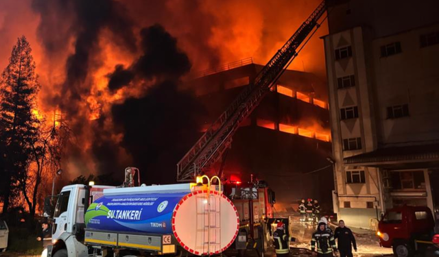 Trabzon’da fındık fabrikasındaki yangına müdahale devam ediyor
