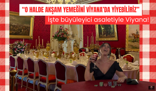 "O halde akşam yemeğini Viyana'da yiyebiliriz" İşte büyüleyici asaletiyle Viyana!