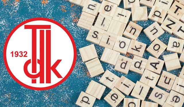Bozayı nasıl yazılır? TDK’ye göre bozayı ayrı mı bitişik mi yazılır?