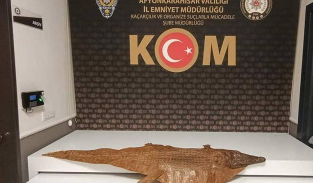 Afyonkarahisar'da enteresan olay! Araçtan timsah derisi çıktı...