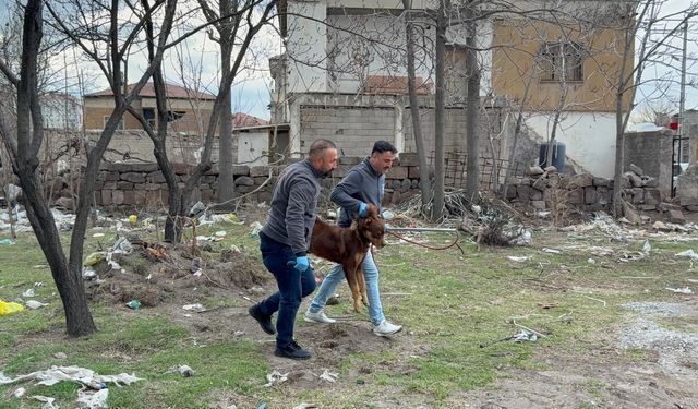 Kayseri'de köpek saldıran çocuk haftalar sonra evinde