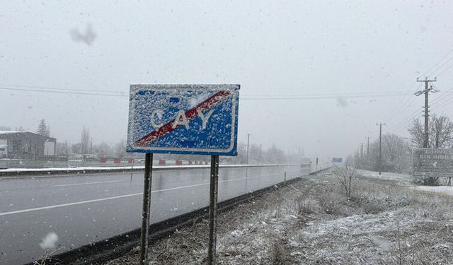 Nisan'da lapa lapa kar!