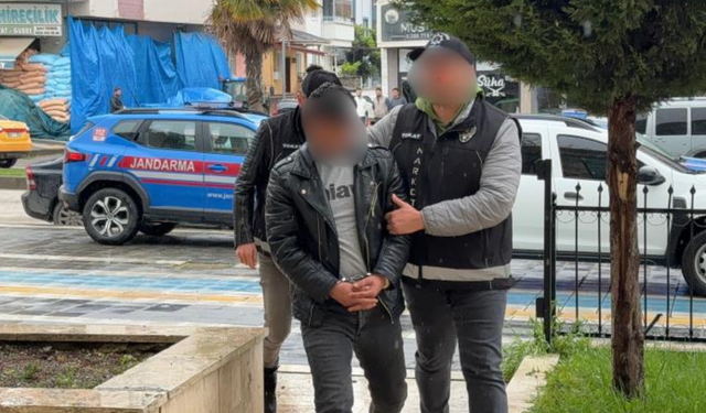 Tır dorsesindeki araçta 2.7 kilo uyuşturucu bulundu, sürücü tutuklandı