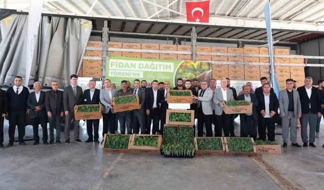 Araban'da karpuz çiftçileri için fide desteği