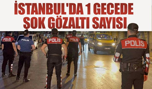 İstanbul'da 1 gecede şok gözaltı sayısı