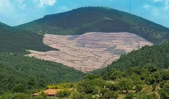 Kazdağları’nda maden tartışması: Kirazlı’da iş makineleri yeniden sahada