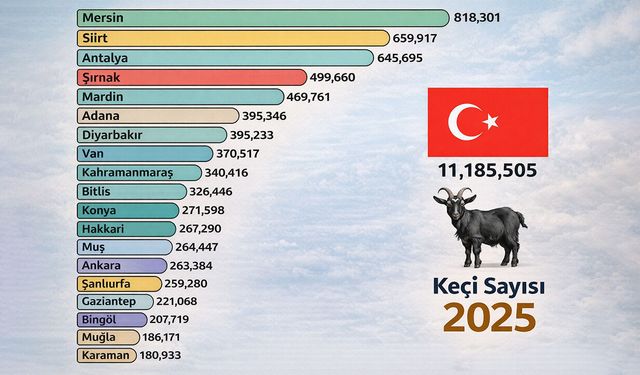 Türkiye'de keçi sayısı 11 milyonu aştı: Zirvede hangi il var?