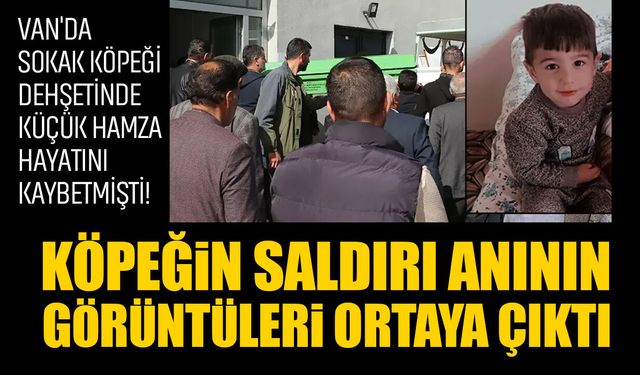Van'da 5 yaşındaki çocuk köpek saldırısında hayatını kaybetmişti: Dehşetin görüntüleri ortaya çıktı!