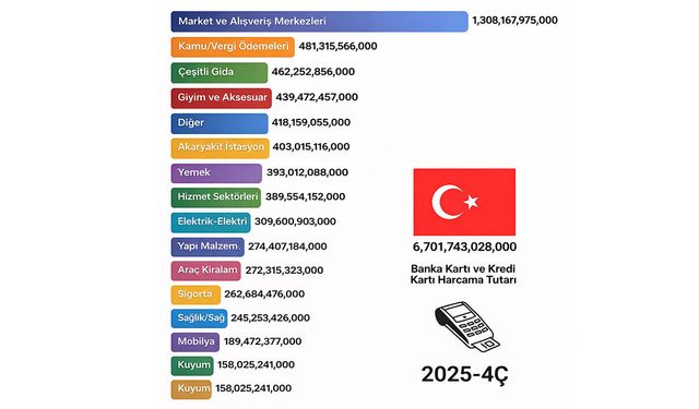 Türkiye'nin harcama haritası çıktı: Vatandaş en çok nereye harcama yaptı?