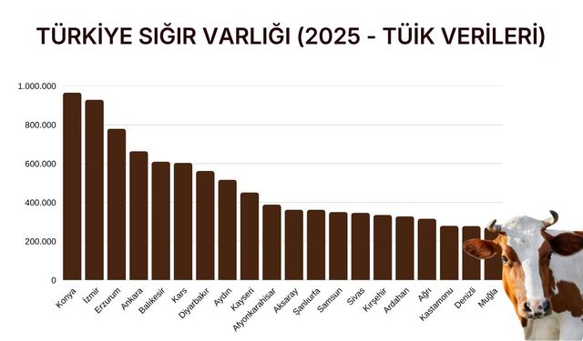 TÜİK açıkladı: İşte Türkiye'nin en fazla sığır bulunan ili