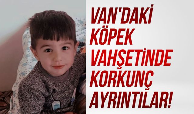 Van'daki köpek vahşetinde korkunç ayrıntılar!
