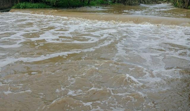 Kastamonu'da bu çayda tehlike sinyalleri