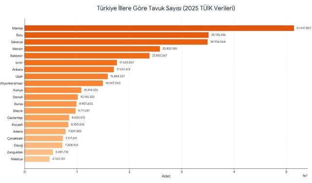 Türkiye’de en çok o ilde tavuk var! TÜİK o verilerin listesini açıkladı!