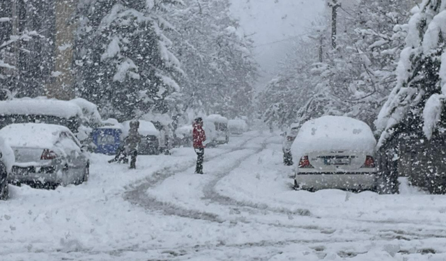 Afyonkarahisar'da kar alarmı: 3 ilçede okullar kapandı