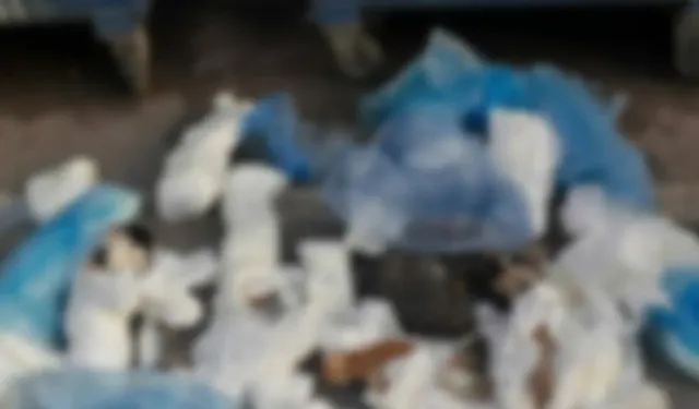 İzmir’de vahşet! 33 kedi çöpte ölü bulundu