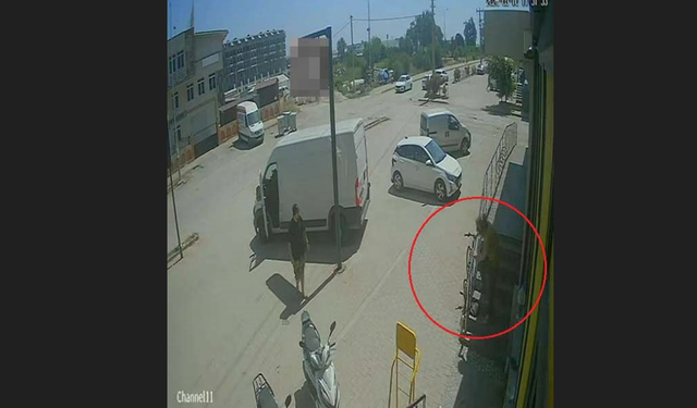 Market önünde vahşet; hayvanseverler ayakta! Kediyi ezip köpeği tekmeledi