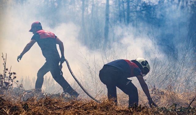 İzmir'de orman yangınları için riskler ve önlemler gündeme geldi