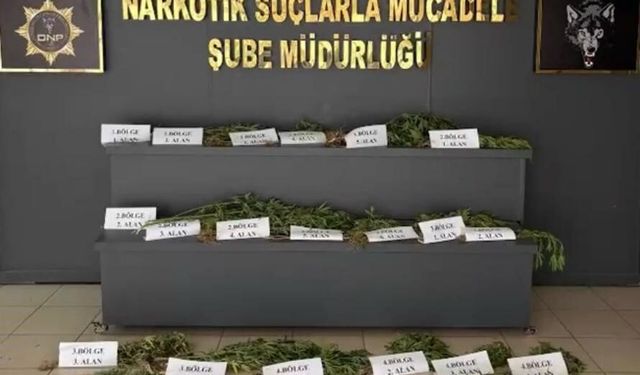 Unesco mirasına dev narkotik baskını