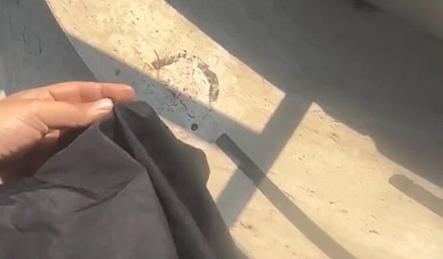Tesettürlü kadını havuza almamışlardı! Site görevlisi tutuklandı