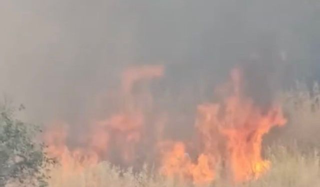 Diyarbakır'da anız yangını