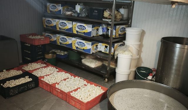 Ankara'da gıda skandalı: 9 ton bozuk süt ürünü ele geçirildi