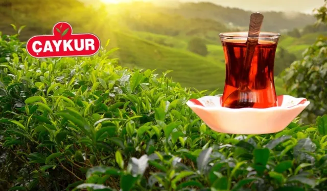 ÇAYKUR'un ihale ve yönetmeliğinde değişiklik
