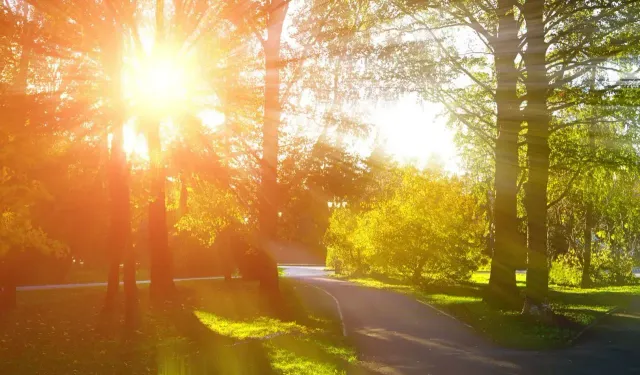 Ankaralılar müjde! Piknik, park ve doğa planları için tam zamanı