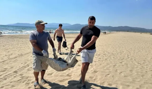 İnsan demeye bin şahit ister: İzmir'de deniz kaplumbağasına vahşet!