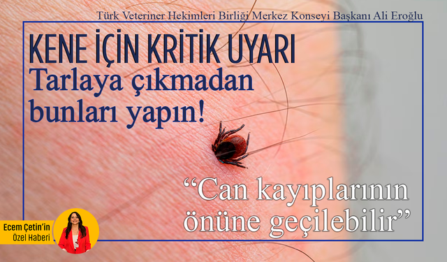 Kene için kritik uyarı: Tarlaya çıkmadan bunları yapın! “Can kayıplarının önüne geçilebilir”