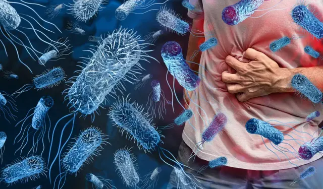 Vibrio (et yiyen bakteri) bakteri nedir? Vibrio bakterisi nasıl bulaşır? Vibrio bakterisinin belirtileri nelerdir?