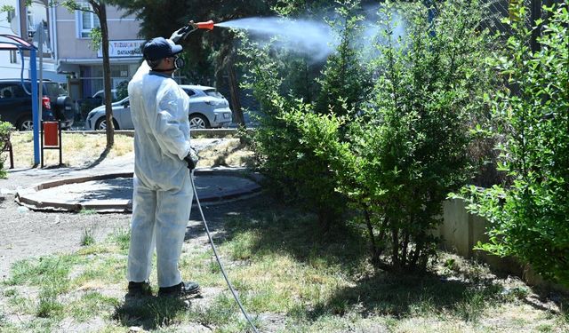 Mamak'ta sinek ve haşerelere karşı ilaçlama seferberliği