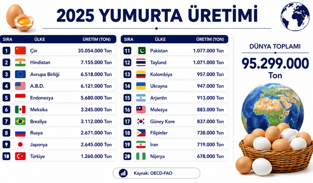 2025 yumurta üretiminde Türkiye kaçıncı sırada? Dünya sıralaması açıklandı