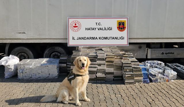 Hatay'da kaçak sigara operasyonu: Tırda 30 bin paket ele geçirildi