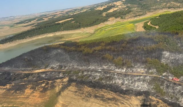 Malkara'da korkutan orman yangını: 80 dekar orman küle döndü