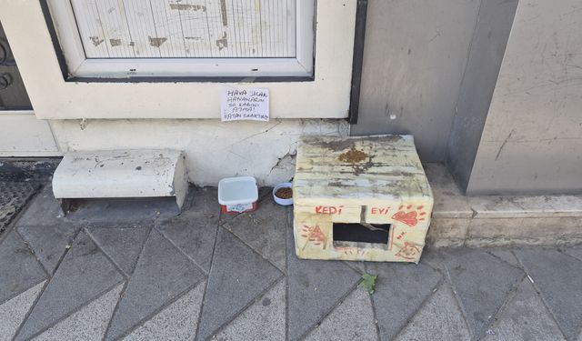 Sokak hayvanları için ilginç su kabı uyarısı