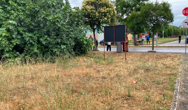 Amcasını palayla öldürdü! Dehşet anları kamerada