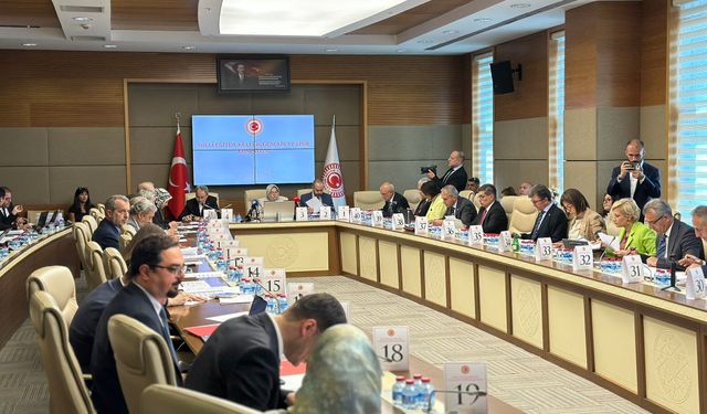 Öğrenci affı ve yükseköğretim düzenlemesi komisyonda