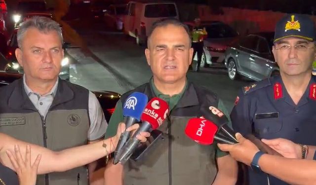Milas'taki orman yangınında 1120 kişi tahliye edildi!