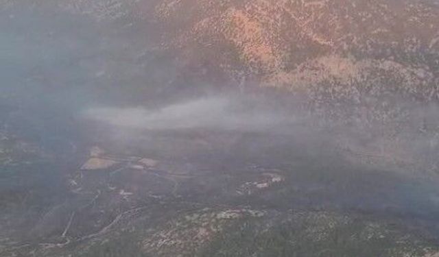 Antalya'da korkutan orman yangını
