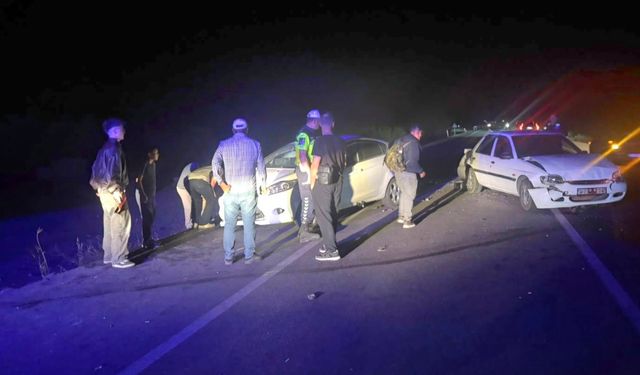 Kütahya'da koyunlar zincirleme kazaya neden oldu