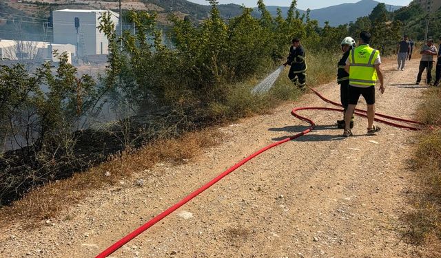 Bilecik'te YHT civarında korkutan yangın