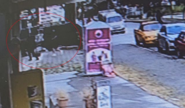 3 kişi tarafından beyzbol sopalarıyla darbedildi! O anlar kamerada