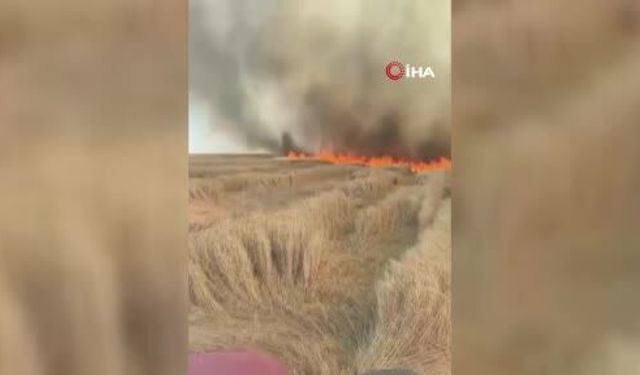 Beypazarı’nda bin 500 dönüm ekili arazi kül oldu