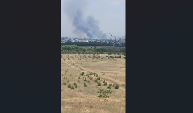 Batıkent'teki yangının nedeni ortaya çıktı! Çakmakla otları ateşe verdi, güvenlik kamerası ele verdi