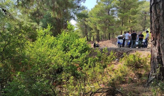 Hatay'da ağaçta asılı erkek cesedi