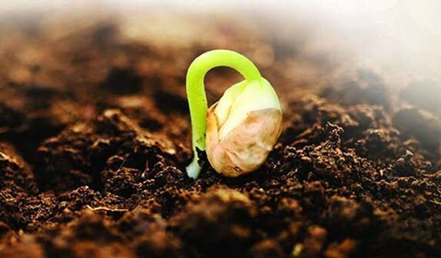 Yetenek doğuştan mı gelir? Önemli faktörler nedir?