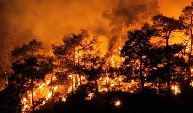 Ankara'da orman yangınlarına karşı bilinçlendirme