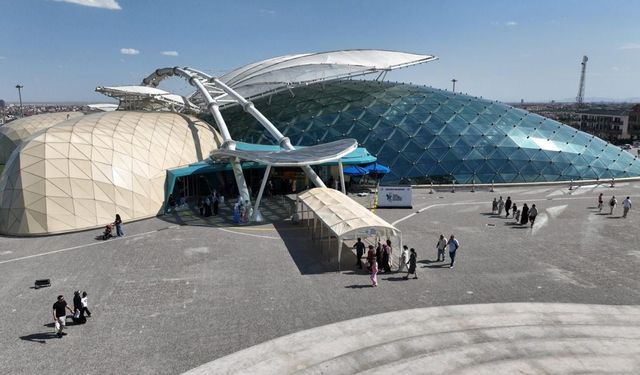 Kelebekler Vadisi Konya nasıl gidilir? Konya Tropikal Kelebek Bahçesi nerede, hangi otobüs gider?